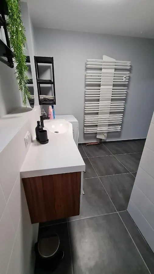 Spessartlounge Apartment Mombris
